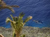 REEF OASIS BLUE BAY RESORT & SPA