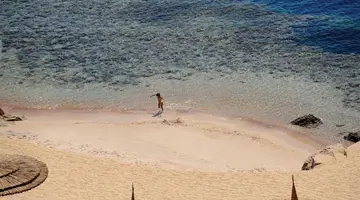 Reef Oasis Blue Bay