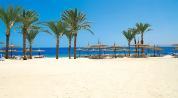 Reef Oasis Blue Bay