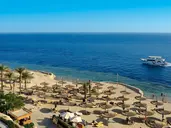 Reef Oasis Blue Bay