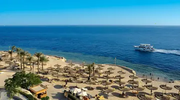 Reef Oasis Blue Bay