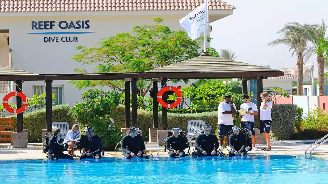 Reef Oasis Blue Bay