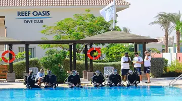 Reef Oasis Blue Bay