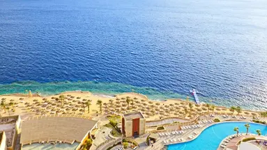 REEF OASIS BLUE BAY