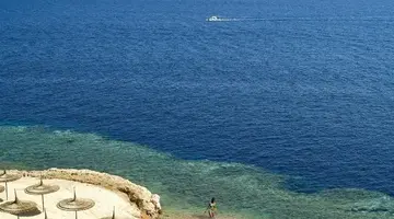 REEF OASIS BLUE BAY