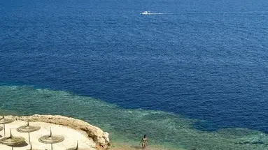 REEF OASIS BLUE BAY