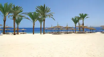 REEF OASIS BLUE BAY
