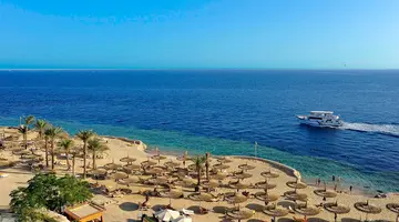 Reef Oasis Blue Bay