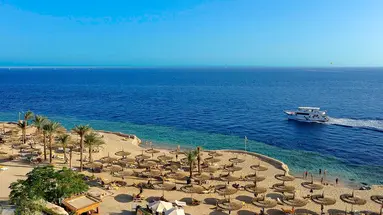 Reef Oasis Blue Bay