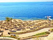 Reef Oasis Blue Bay