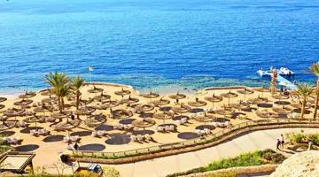 Reef Oasis Blue Bay