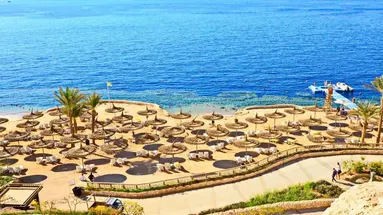 Reef Oasis Blue Bay