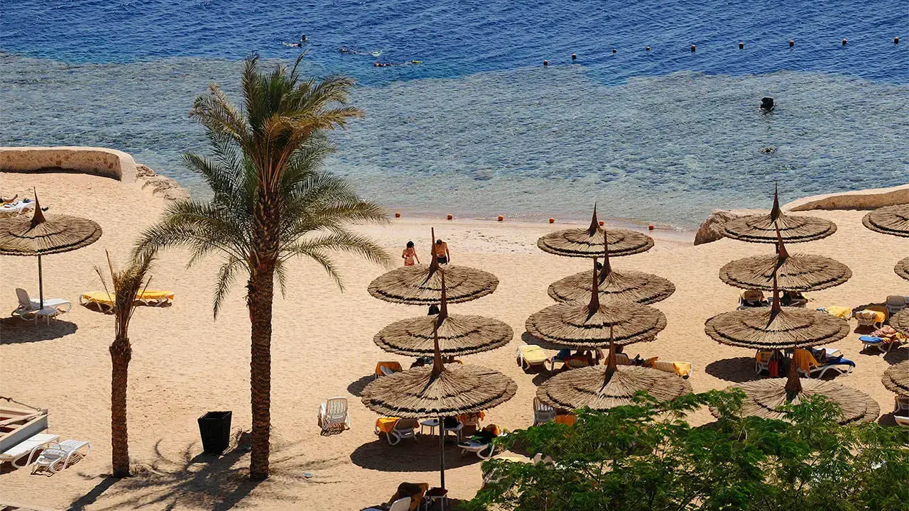 Reef Oasis Blue Bay