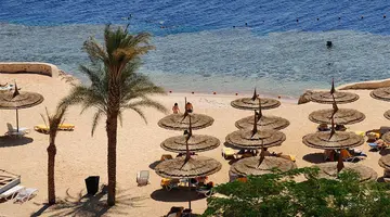 Reef Oasis Blue Bay