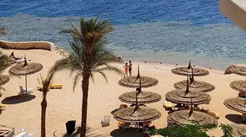 REEF OASIS BLUE BAY