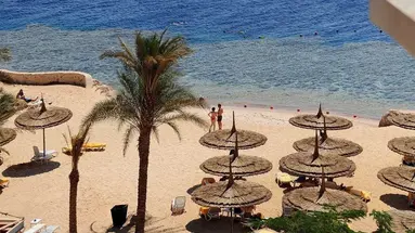 REEF OASIS BLUE BAY