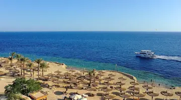 REEF OASIS BLUE BAY