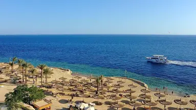 REEF OASIS BLUE BAY