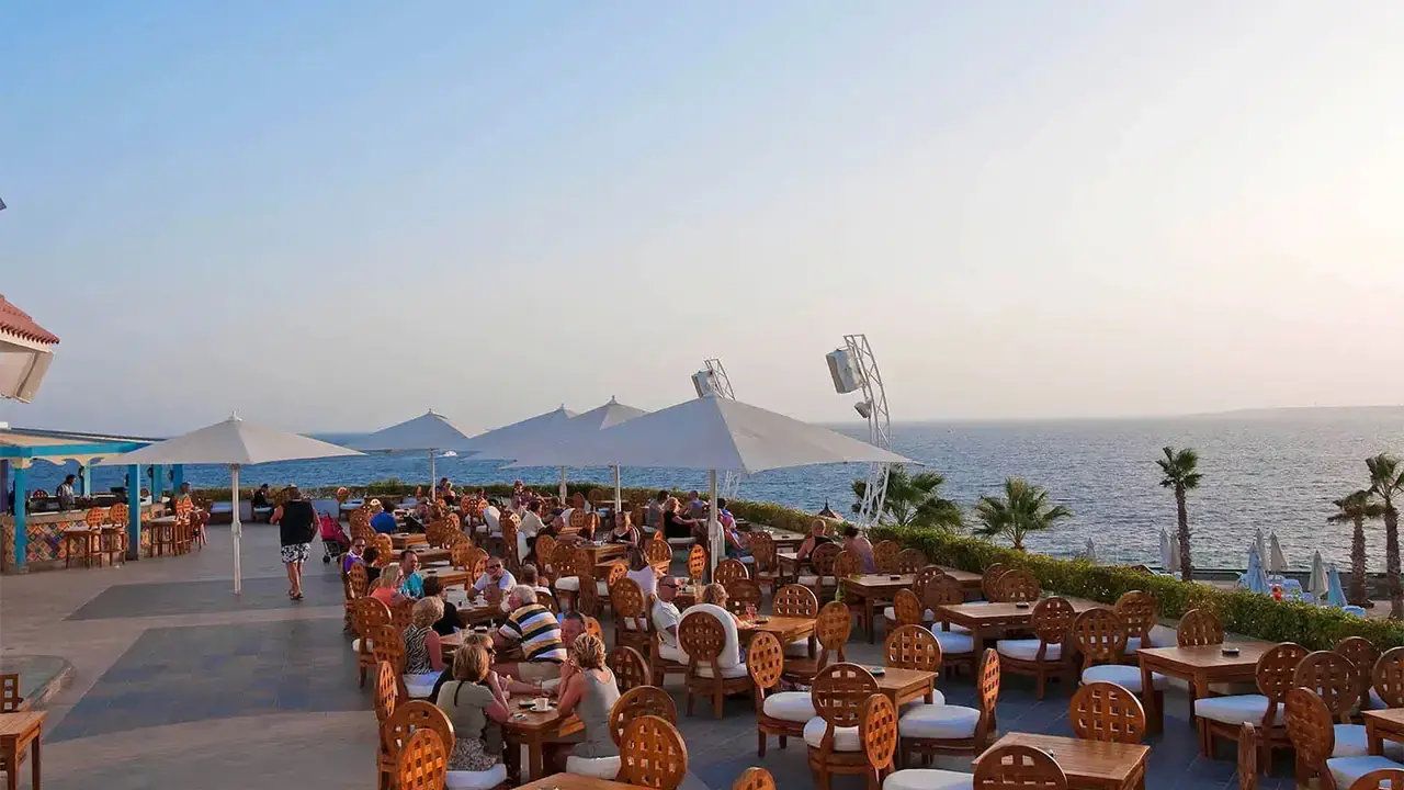 Reef Oasis Blue Bay