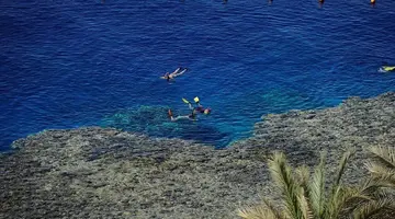 REEF OASIS BLUE BAY