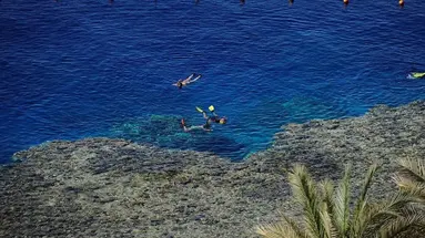 REEF OASIS BLUE BAY