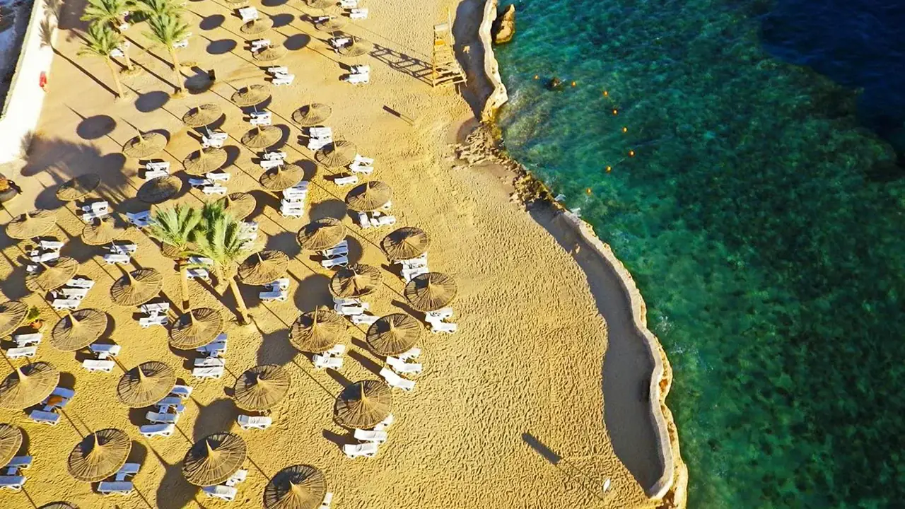Reef Oasis Blue Bay