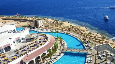 Reef Oasis Blue Bay