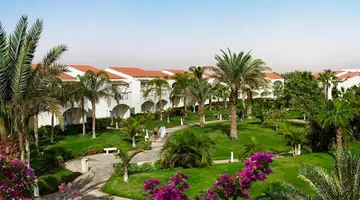 Reef Oasis Blue Bay