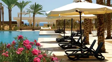 REEF OASIS BLUE BAY