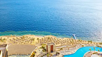 Reef Oasis Blue Bay