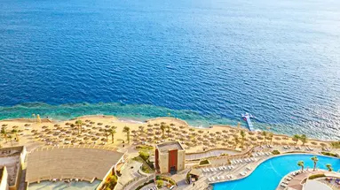 Reef Oasis Blue Bay