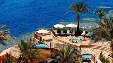Reef Oasis Blue Bay