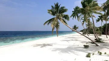 REETHI FARU RESORT