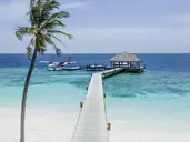 Reethi Faru Resort