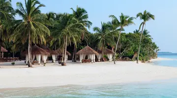 REETHI FARU RESORT