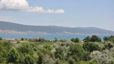 Regatta Palace