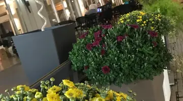 REGINA MARE HOTEL