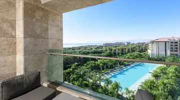 REGNUM CARYA