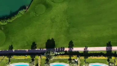 Regnum Carya