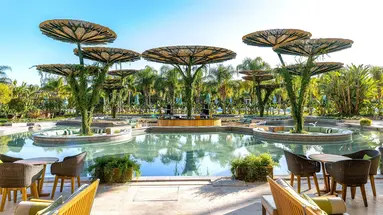 Regnum Carya