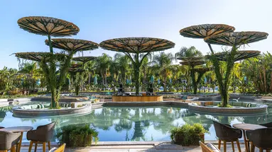REGNUM CARYA