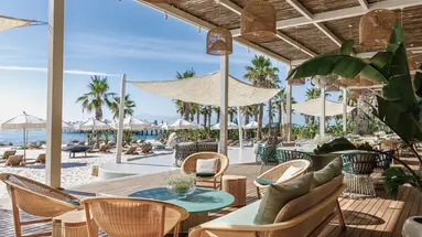 REGNUM CARYA