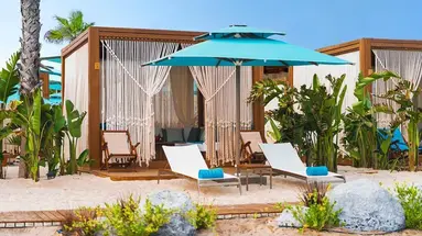 REGNUM CARYA