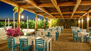 REGNUM CARYA