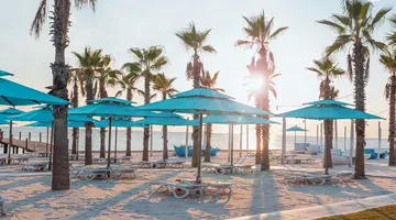 REGNUM CARYA