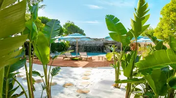 REGNUM CARYA