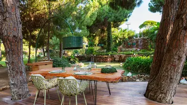REGNUM CARYA