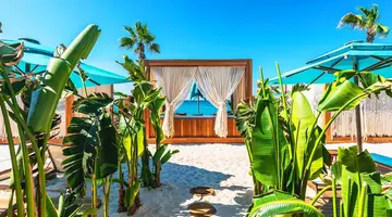 Regnum Carya