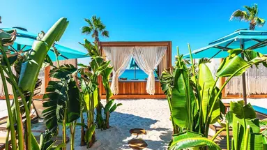 Regnum Carya