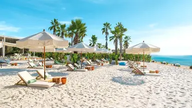 REGNUM CARYA